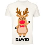 Koszulka świąteczny Dawid