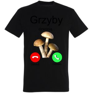 Grzyby dzwonią v3
